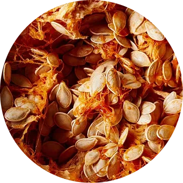 Cold-Pressed Pumpkin Seed Oil