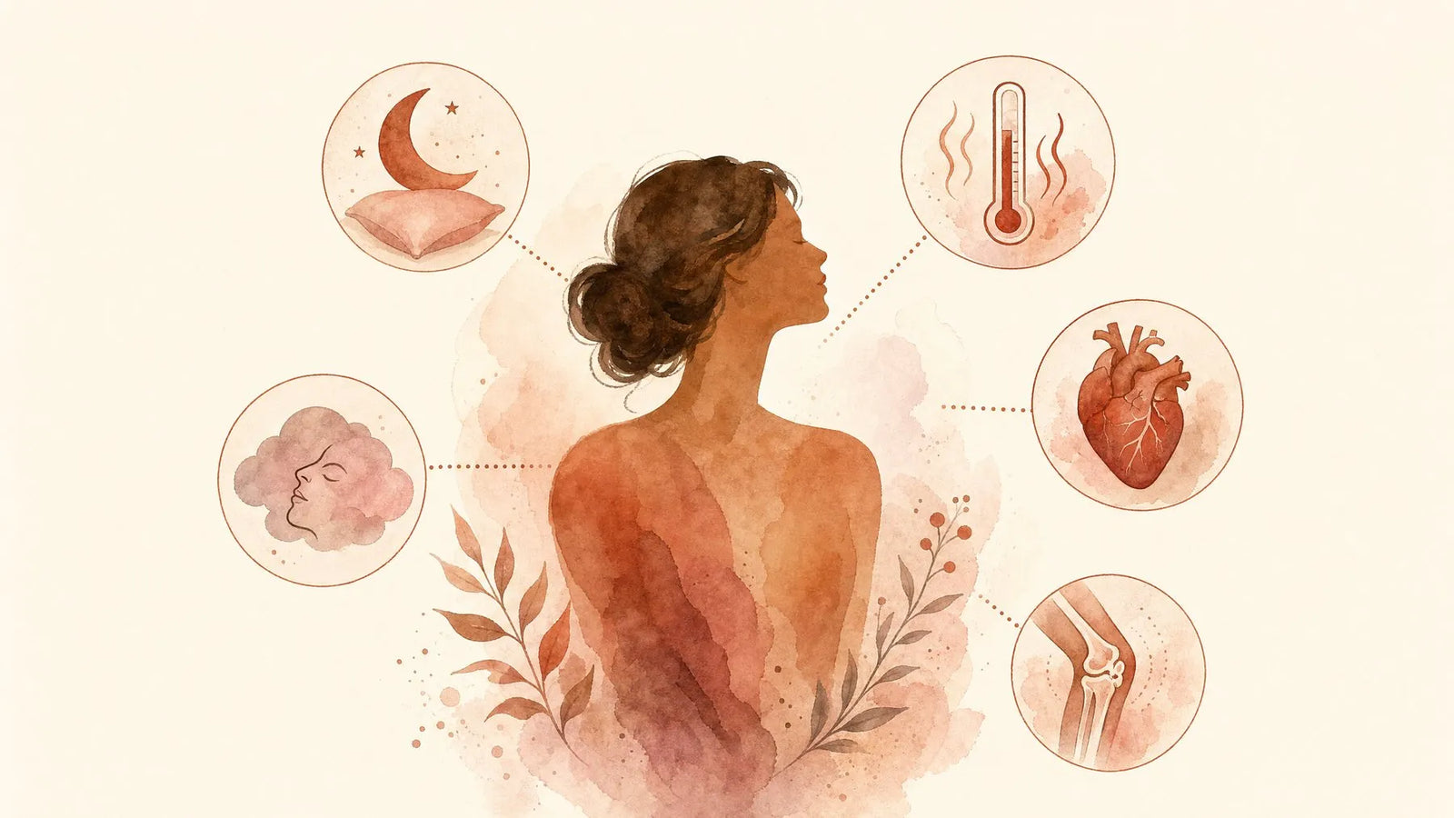 The broader menopause symptoms pumpkin seed oil helps with