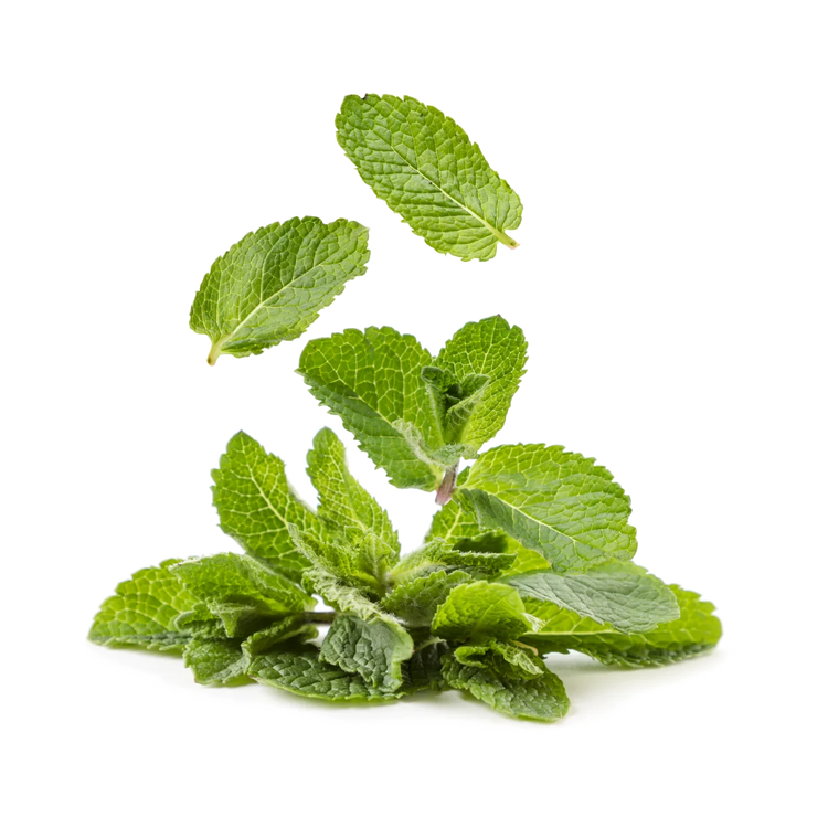 L-Menthol